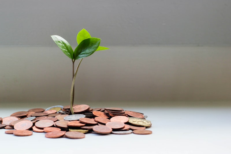 Fixed Deposits & Bonds